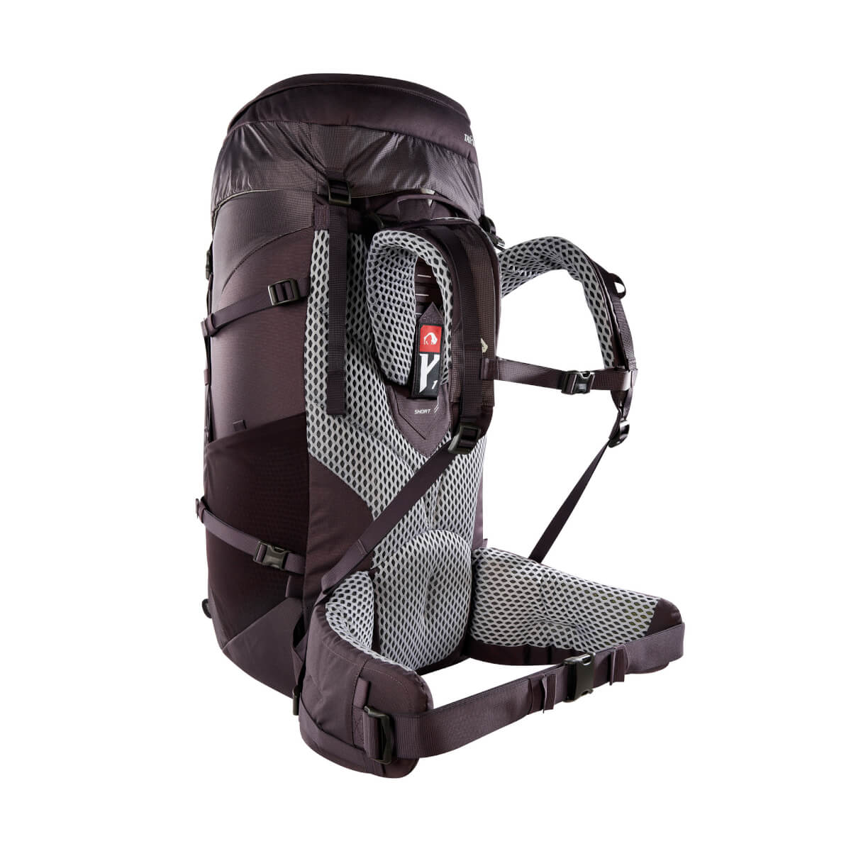 Noras 55+10 Woman midnight plum